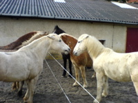 DSC00036.JPG