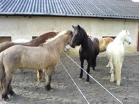 DSC00037.JPG