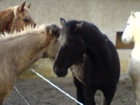 DSC00038.JPG