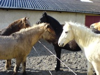 DSC00040.JPG