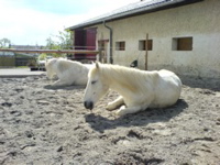 DSC00049.JPG