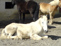 DSC00051.JPG