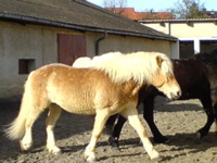 DSC00041.JPG